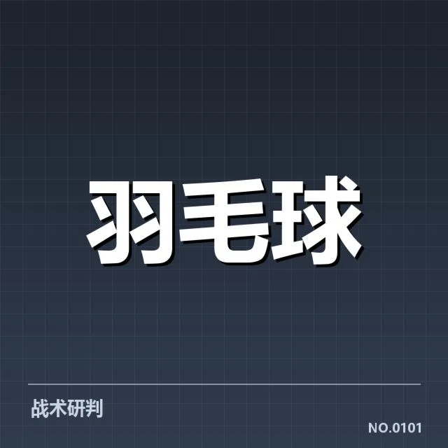 羽毛球汤姆斯杯热赛：中国队表现