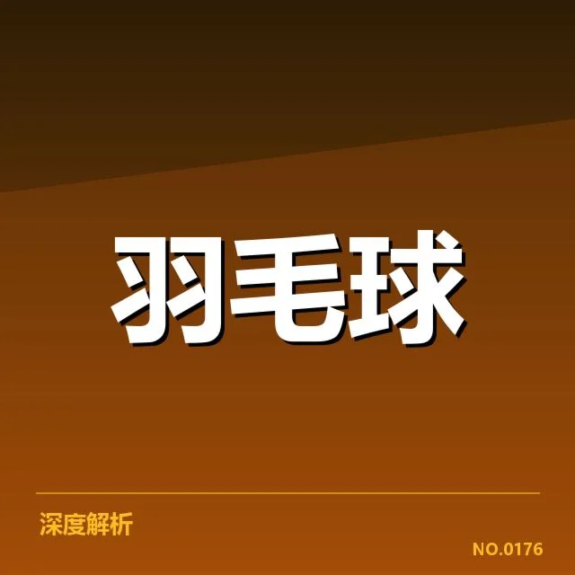 中国队阵容及赛程安排详解